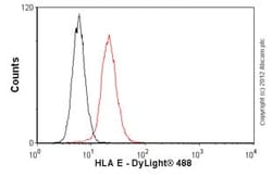 Abcam Mouse monoclonal [MEM-E/02] to HLA E, Quantity: Each of 1