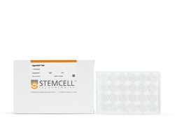 STEMCELL Technologies AggreWell 800 6-well plate, 5 pack, Size: 5 Units,