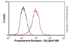 Abcam Mouse monoclonal [Alpha PR6] to Progesterone Receptor, Quantity: