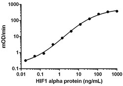 Abcam Recombinant Human HIF-1 alpha protein, Quantity: Each of 1