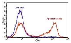 Abcam&nbsp;Apoptosis/ Necrosis Assay Kit (blue, green, red)