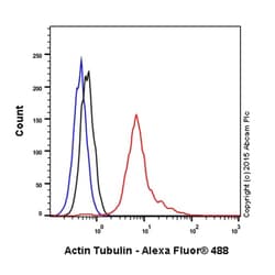 Abcam Rabbit polyclonal to alpha Tubulin - Microtubule Marker, Quantity: