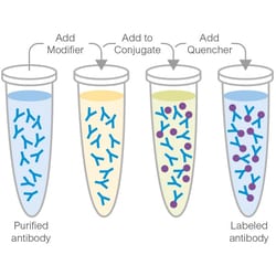 Abcam PE/Cy5 Conjugation Kit¿- Lightning-Link, Quantity: Each of 1