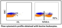 Kingfisher Biotech Inc Anti-bovine CD3 monoclonal antibody (clone MM1A)