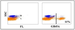 Kingfisher Biotech Inc Anti-bovine WC1+ γδ T cell (WC1-N26 epitope) - 100