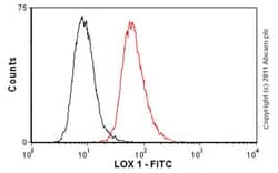Abcam FITC Mouse monoclonal [23C11] to LOX 1, Quantity: Each of 1
