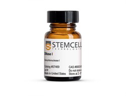 STEMCELL Technologies DNase I, Size: 25 mg, Quantity: Each of 1