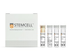 STEMCELL Technologies EasySep Mouse APC Positive Selection Kit II, For