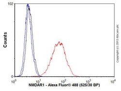 Abcam Mouse monoclonal [N308/48] to NMDAR1 - Neuronal Marker, Quantity: