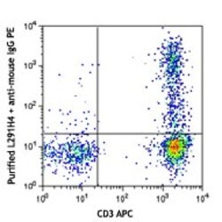 Biolegend Purified anti-human CD194 (CCR4), Quantity: Each of 1