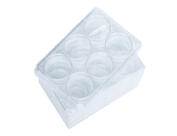 STEMCELL Technologies SmartDish - 5 Pack, Quantity: Each of 1