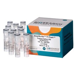 BIOSEARCH TECHNOLOGIES INC (Lucigen) AmpliScribe T7-Flash Transcription