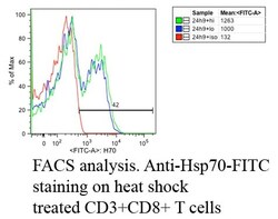 Abcam Mouse monoclonal [C92F3A-5] to Hsp70, Quantity: Each of 1