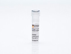 STEMCELL Technologies StemSpan Erythroid Expansion Supplement (100X), Size: