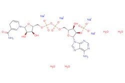 eMolecules​ Beta-nicotinamide adenine dinucleotide | 53-84-9 | MFCD00036253