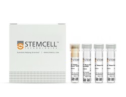 STEMCELL Technologies EasySep Mouse CD138 Positive Selection Kit, For processing:
