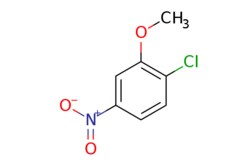 eMolecules​ 1-Chloro-2-methoxy-4-nitrobenzene | 1009-36-5 | MFCD00079739 | 25g