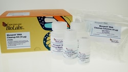 New England Biolabs, Inc. Monarch RNA Cleanup Kit (10 µg) – 10 preps, Quantity:
