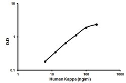 Abcam Human Kappa ELISA Kit, 1 x 96 Tests, Quantity: Each of 1