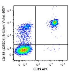 Biolegend Brilliant Violet 605 anti-human CD185 (CXCR5), Quantity: Each