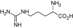 Abcam L-Arginine, substrate for nitric o x ide synthase, 100MG, Quantity: