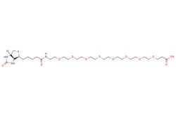 eMolecules​ Biotin-PEG8-acid | 2143964-62-7 | MFCD26127802 | 100mg, Quantity: