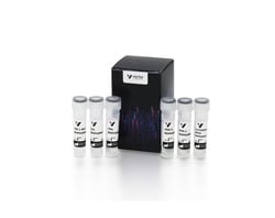 Vector Laboratories NEUROBIOTIN Tracer, 50 mg BK-2100, Quantity: Each of