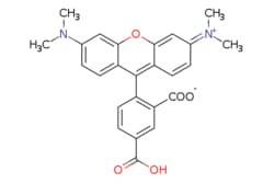 eMolecules​ TAMRA Acid | Broadpharm | 98181-63-6 | MFCD10001329 | 430.460