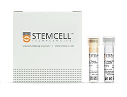 STEMCELL Technologies EasySep Human CD33 Positive Selection Kit II, For