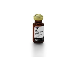 Vector Laboratories VectaFluor Excel Anti-Mouse488 MB-7000-1, Quantity: