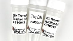 New England Biolabs, Inc.&nbsp;TAQ DNAP TP BUFF   20000 UNITS