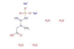 eMolecules​ Creatine phosphate disodium salt tetrahydrate | 19333-65-4