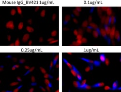 Biolegend Brilliant Violet 421 anti-HA.11 Epitope Tag, Quantity: Each of