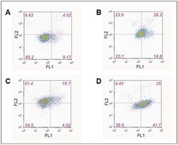 Abcam ROS/Superoxide Detection Assay Kit (Cell-based), Quantity: Each of
