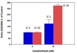 Abcam JC-10 Mitochondrial Membrane Potential Assay Kit (Microplate), Quantity: