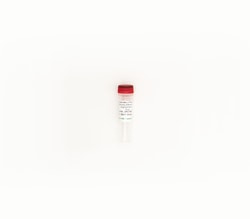 Zymo Research Corporation ZymoBIOMICS Microbiome Standard (Staggered, DNA,