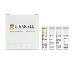 STEMCELL Technologies EasySep Human FITC Positive Selection Kit II, For
