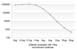Abcam Rabbit polyclonal to Firefly Luciferase, Quantity: Each of 1