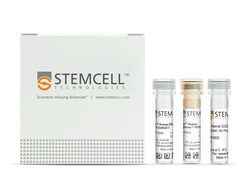 STEMCELL Technologies EasySep Human CD271 Positive Selection Kit II, For
