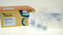 New England Biolabs, Inc. Monarch RNA Cleanup Kit (500 µg) – 100 preps