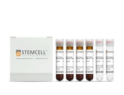 STEMCELL Technologies EasySep Direct Human PBMC Isolation Kit, For processing: