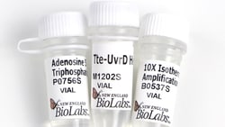 New England Biolabs, Inc. Tte-UvrD Helicase – 0.5 µg, Quantity: Each of