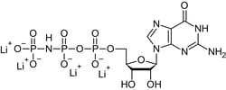 Abcam Non-hydrolyzable GTP analog, Quantity: Each of 1