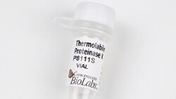 New England Biolabs, Inc. Thermolabile Proteinase K – 30 units, Quantity: