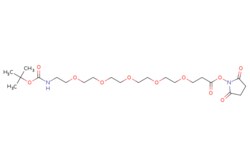 eMolecules​ t-Boc-N-amido-PEG5-NHS ester | Broadpharm | 2055040-78-1 |