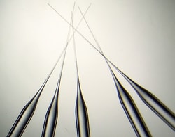 World Precision Instrument Pre-Pulled Glass Pipettes, Long taper -TIP10LT,