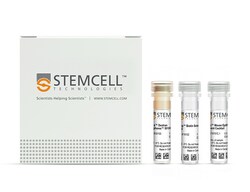 STEMCELL Technologies EasySep Mouse Epithelial Cell Enrichment Kit II,