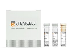 STEMCELL Technologies EasySep FITC Positive Selection Kit II, For processing: