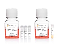 STEMCELL Technologies STEMdiff Intestinal Organoid Kit, Size: 1 Kit, Quantity: