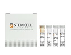 STEMCELL Technologies EasySep Human Biotin Positive Selection Kit II, For